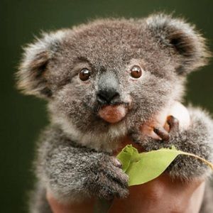 Meet your Posher, Katrina